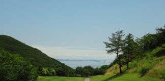 Il punteggio del golfista