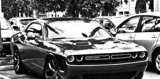 Come verificare se ho pagato il bollo auto verificare se ho pagato il bollo auto