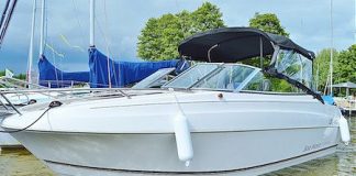 Come rinnovare la patente nautica scaduta rinnovare patente nautica