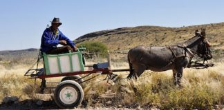 Come ottenere un prestito d’onore prestito d onore richiesta