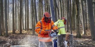 Contratto prestazione occasionale, come funziona contratto prestazione occasionale