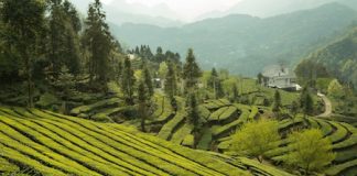 Bonus verde 2018 bonus verde 2018