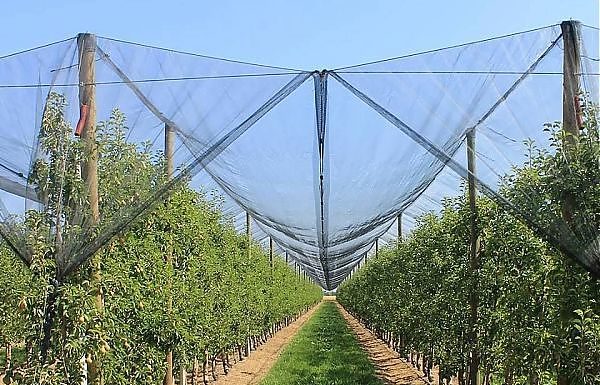 CRESCE IL MERCATO ASSICURATIVO AGRICOLO IN ITALIA