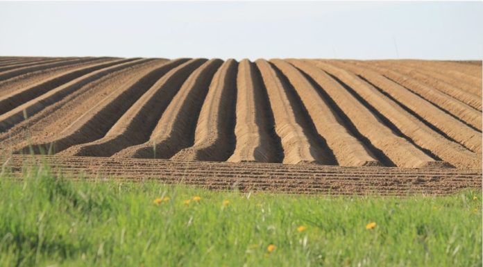 NASCE IL PRIMO HUB TECNOLOGICO PER L’AGRICOLTURA ITALIANA
