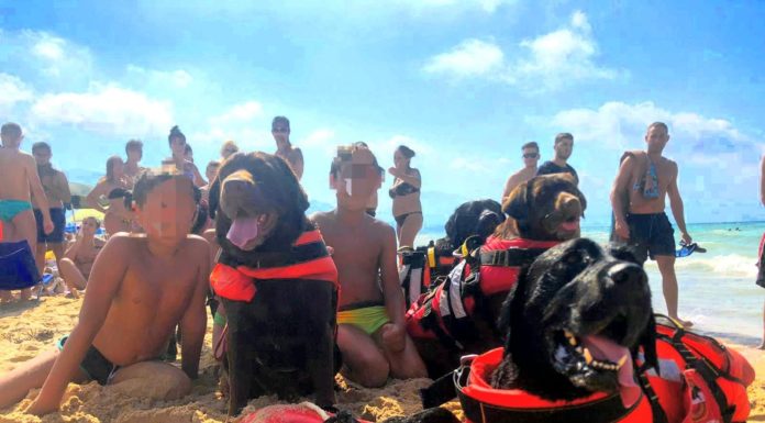 RISCHIANO DI ANNEGARE A OSTIA E A TRAPANI, SALVATI DAI CANI BAGNINI