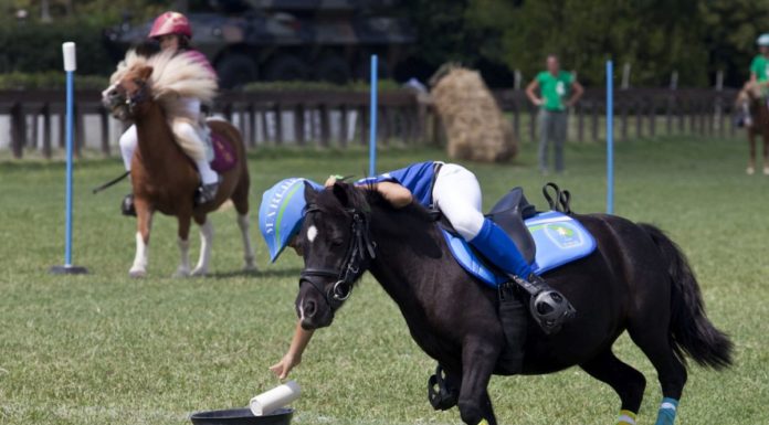 EQUITAZIONE: DAL 28 AL 31 AGOSTO A ROMA LA 14^ EDIZIONE DELLE PONYADI