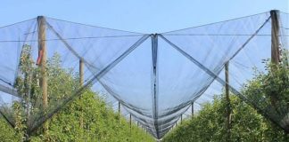 PUGLIA, INCONTRO SINDACATI-DIPARTIMENTO AGRICOLTURA