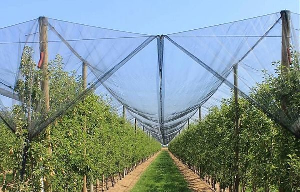 PSR, APPROVATE GRADUATORIE A FAVORE DI 890 BENEFICIARI