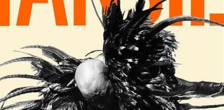 SKUNK ANANSIE FESTEGGIANO 25 ANNI DI CARRIERA