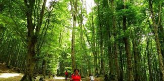 CALABRIA, ITINERARI SACRI METE FEDELI