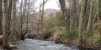 BANDO PER MESSA IN SICUREZZA FIUME CRATI