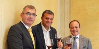 VERONAFIERE, IN BRASILE WINE SOUTH AMERICA