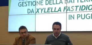 PUGLIA, SI E’ DIMESSO L’ASSESSORE ALL’AGRICOLTURA