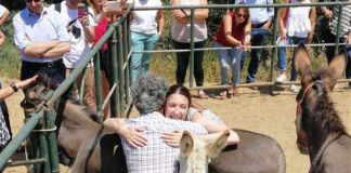 FONDAZIONE CON IL SUD, 60 MILIONI PER LA SICILIA