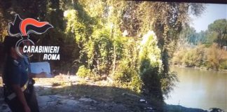 CARABINIERI FORESTALE, SANZIONI PER 2,6 MLN