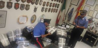 DROGA, 130 CHILI DI MARIJUANA TRA GLI ORTAGGI