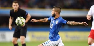 INSIGNE “STA CRESCENDO UN GRANDE GRUPPO ITALIA”