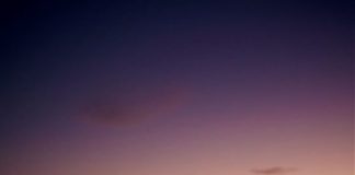 JAGUAR. TROFEO PER AUTO ELETTRICHE DA COMPETIZIONE