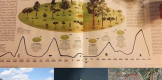 DOMENICA CORSA BENEFICA FRA LE STRADE DI KIBERA