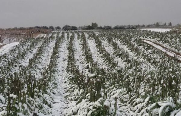 ARRIVANO PRIMI 11,1 MLN PER DANNI CALAMITÀ