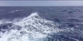 MARE JONIO, ANCORA 34 A BORDO