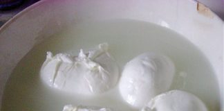 “LA MOZZARELLA È CAMPANA MA ANCHE PUGLIESE”