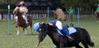 DAL 28 AGOSTO A ROMA TORNANO LE PONYADI