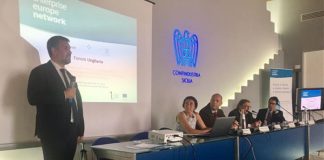 IMPRESE, OPPORTUNITÀ DI BUSINESS IN UNGHERIA