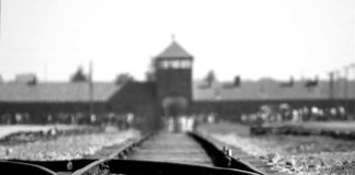 COMUNITÀ EBRAICA ROMA, MORTA GRAZIA DI VEROLI