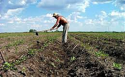 APPROVATA LA LEGGE CONTRO IL CAPORALATO