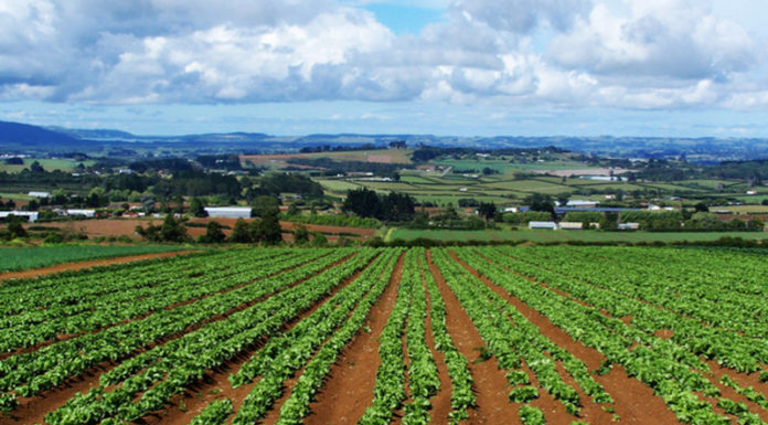 CONFEDILIZIA: “RIVOLUZIONE PER CONSORZI BONIFICA”