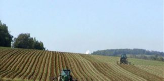 DALLA GIUNTA 12 MLN PER AGRICOLTURA BIOLOGICA