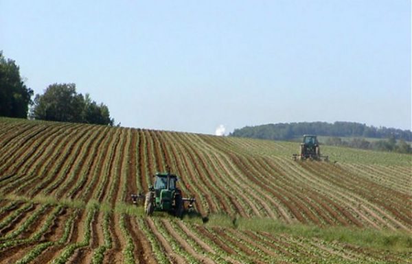 DISTRETTI RURALI E AGROALIMENTARI, APPROVATO REGOLAMENTO