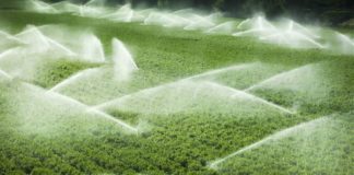 IN PAGAMENTO OLTRE 66 MLN A SOSTEGNO PSR