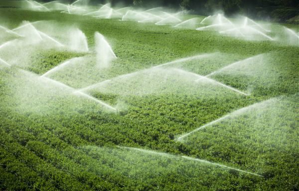 PSR, 2,5 MLN PER PRIMO INSEDIAMENTO GIOVANI AGRICOLTORI