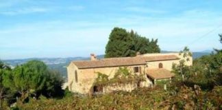 SICILIA, 45 MILIONI PER GLI AGRITURISMI