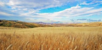 PIEMONTE: PIU’ FONDI UE PER L’AMBIENTE