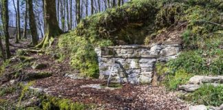 TORNANO ESCURSIONI PARCO ASPROMONTE