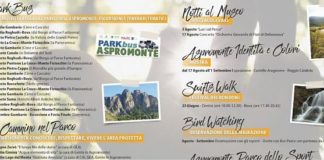 AL VIA L’ESTATE DEL PARCO DELL’ASPROMONTE
