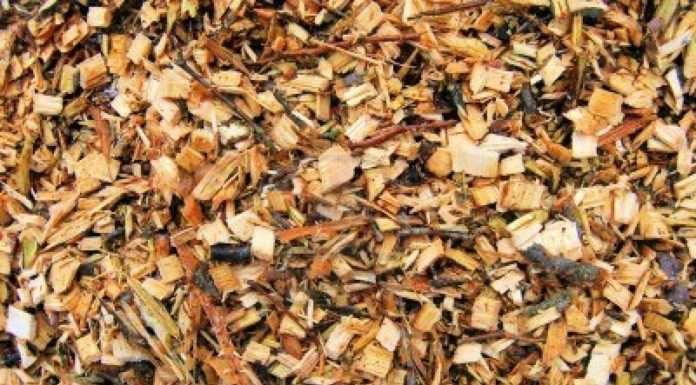 IMPIANTI BIOMASSE, DIFFERITI TERMINI MANIFESTAZIONI INTERESSE