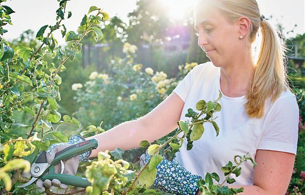 AL FUORISALONE NOVITÀ PRODOTTO LINEA HOME&GARDEN