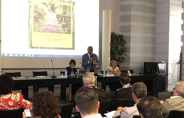 BRAIA “TESTO UNICO FORESTE, FILIERE E RIFORMA IN ATTO”