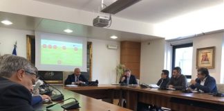 BASILICATA, DA PSR 29,5 MLN PER AGRICOLTURA