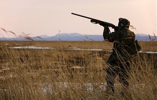 ACCORDO FRA REGIONE E UNIBAS PER STUDIO FAUNISTICO