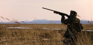 CACCIA, VIA A OSSERVATORIO FAUNISTICO REGIONALE