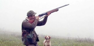 DA TAR OK A CALENDARIO VENATORIO