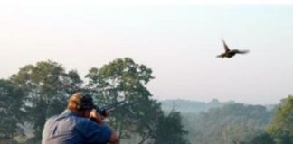 VENETO: CACCIA, VARATO PIANO FAUNISTICO VENATORIO