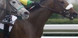 LE MANI DI COSA NOSTRA SULL’IPPODROMO DI PALERMO