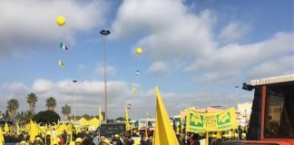 XYLELLA, PROTESTANO AGRICOLTORI A LECCE