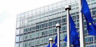 UE LANCIA PROPOSTE CONTRO DISINFORMAZIONE ONLINE
